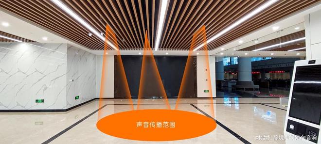 喇叭：提升空间音效的新选择龙8国际点此进入吸顶定向(图3)